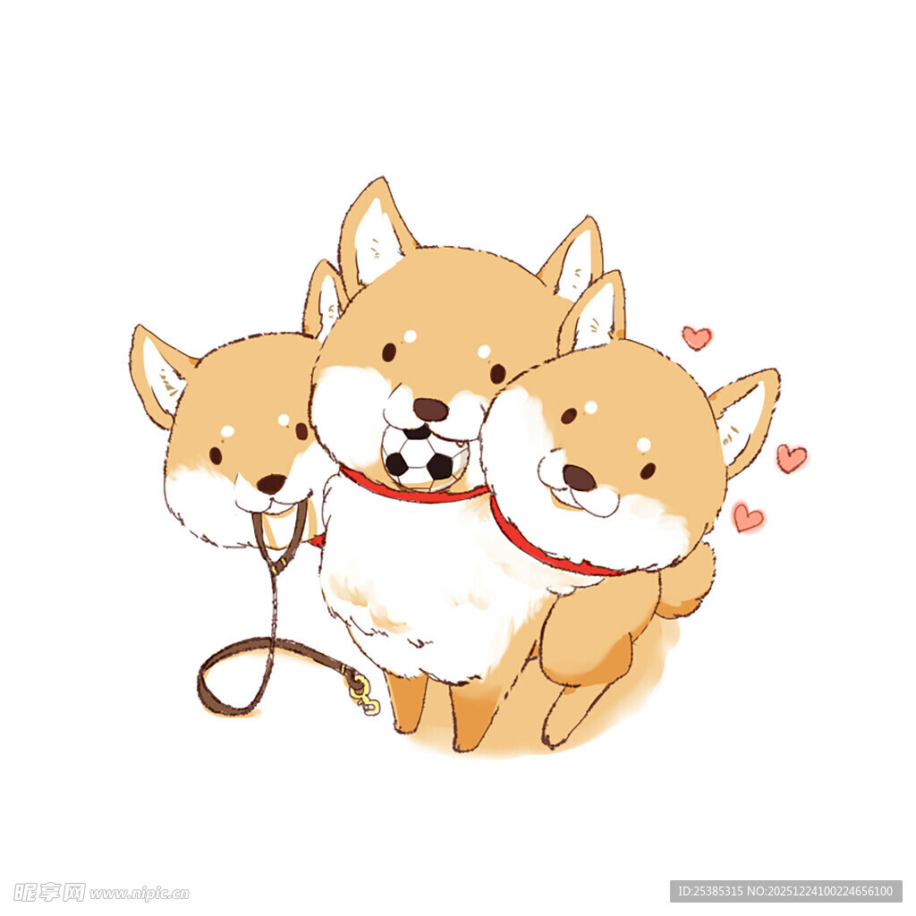 三只可爱柴犬温馨相伴