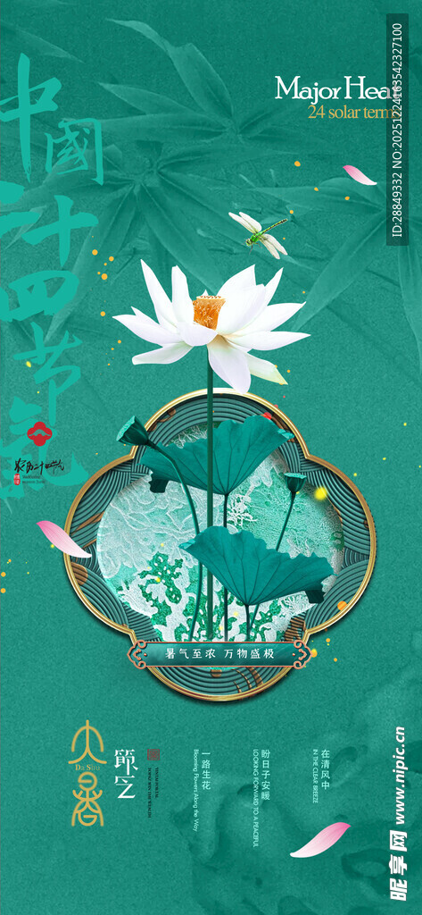 大暑海报
