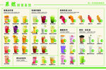 饮品果汁菜单