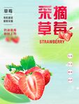 采摘草莓  蓝绿色系列