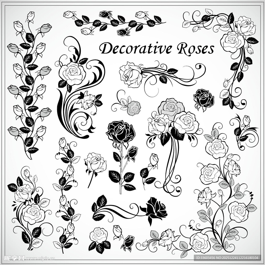 装饰性玫瑰花卉图案集合