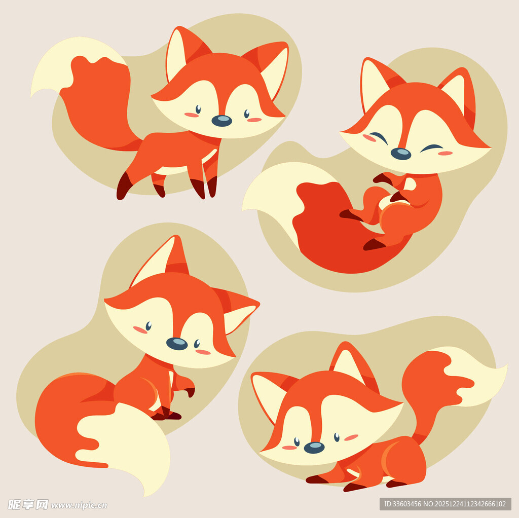 可爱狐狸的多样姿态