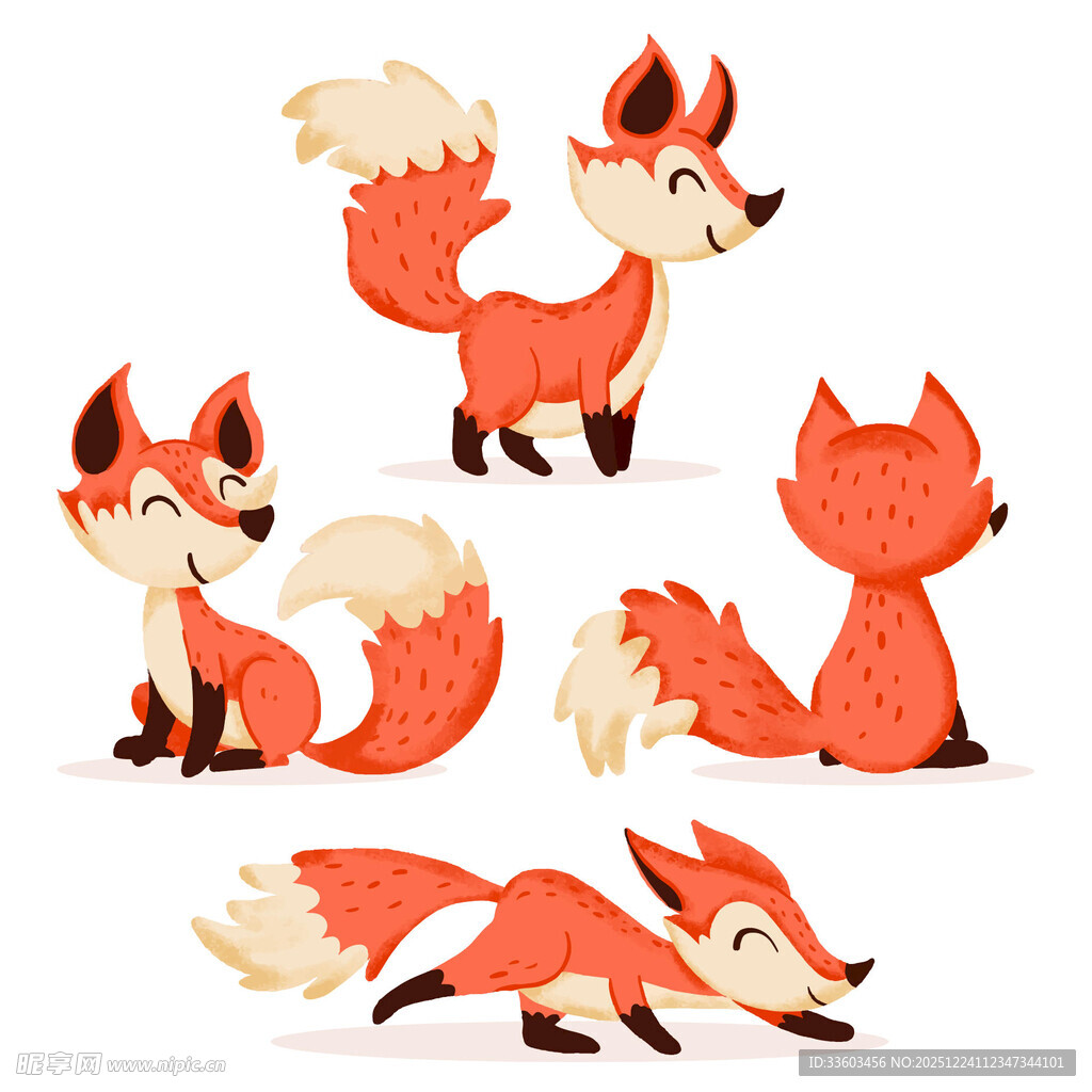 可爱狐狸的多样姿态