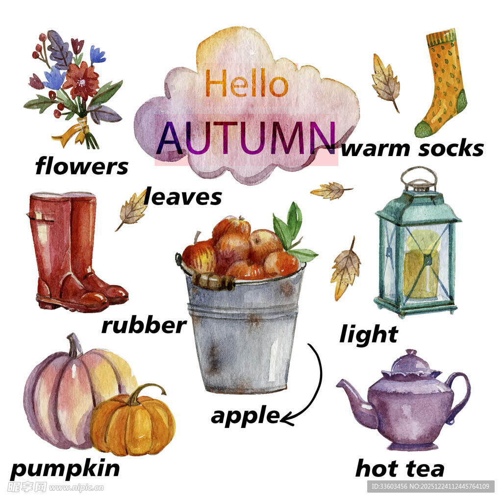 秋季元素插画