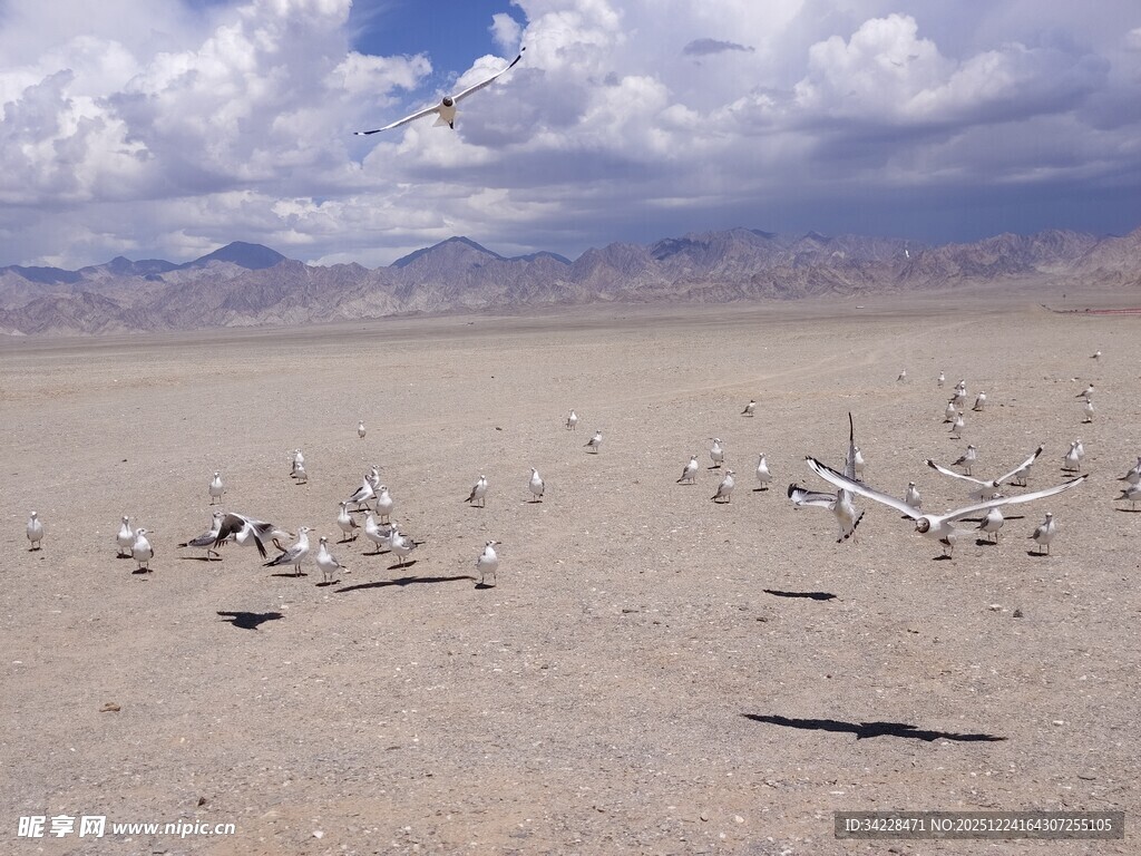 荒漠中的白色物体景观