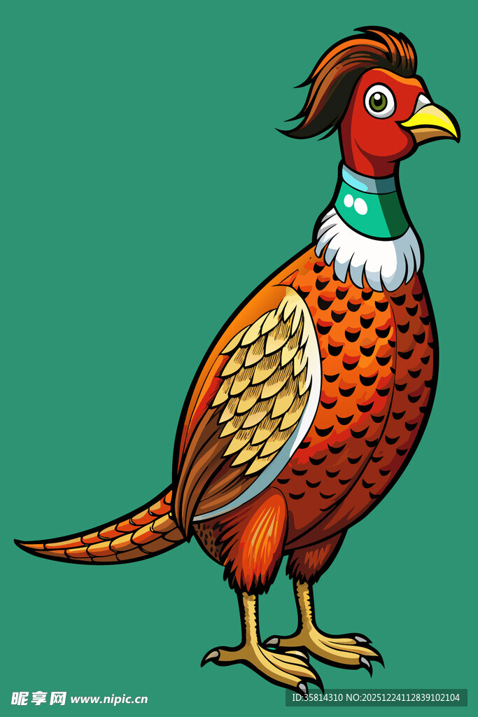 彩色雉鸡插画