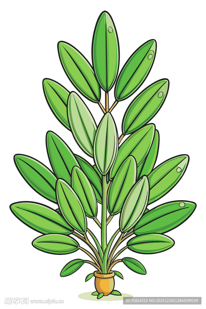 绿叶植物插画