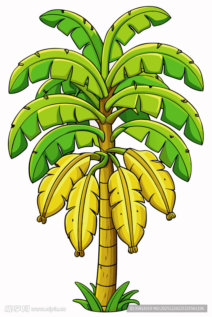 卡通风格的香蕉树插画