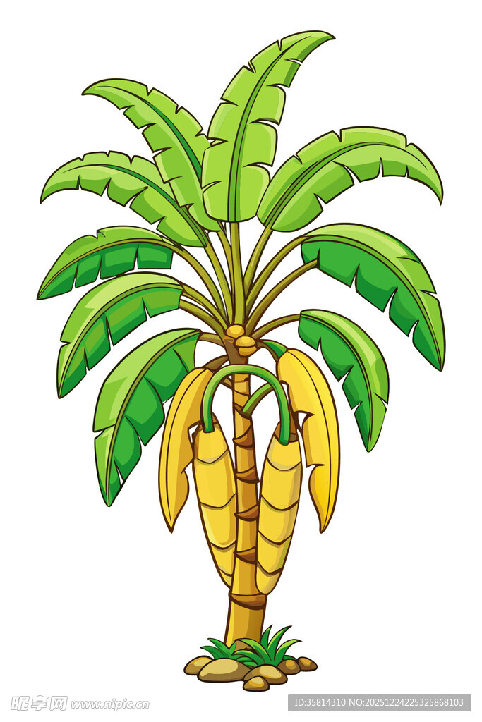 卡通风格的香蕉树