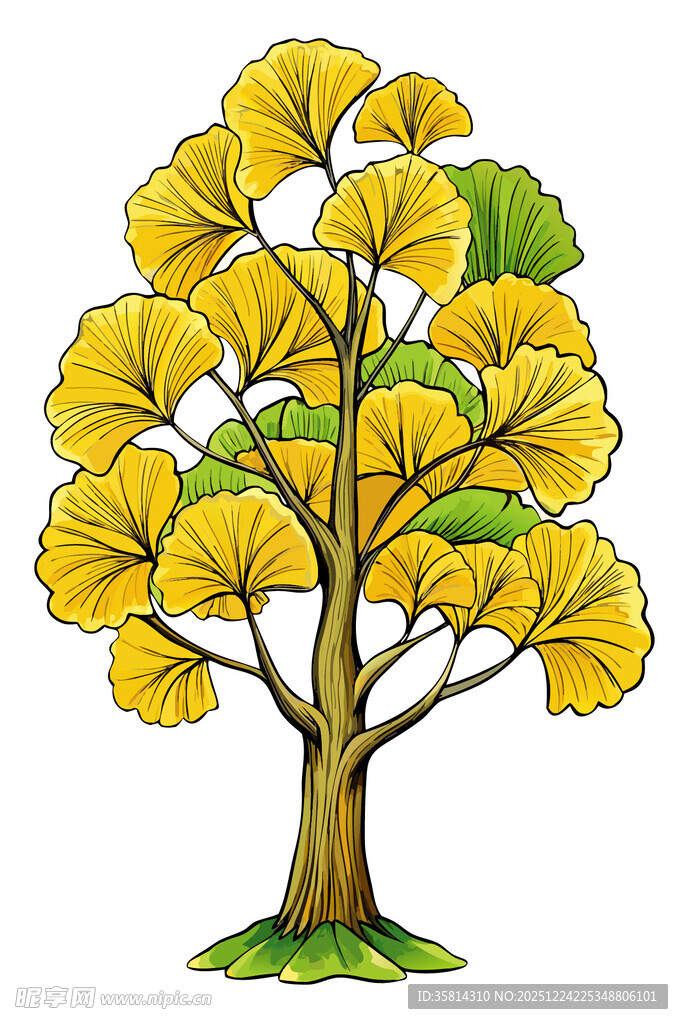 金黄银杏树插画