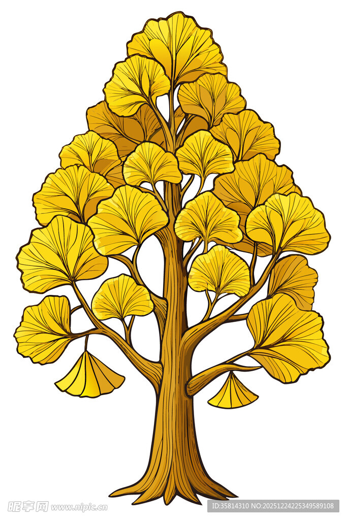 金黄银杏树插画