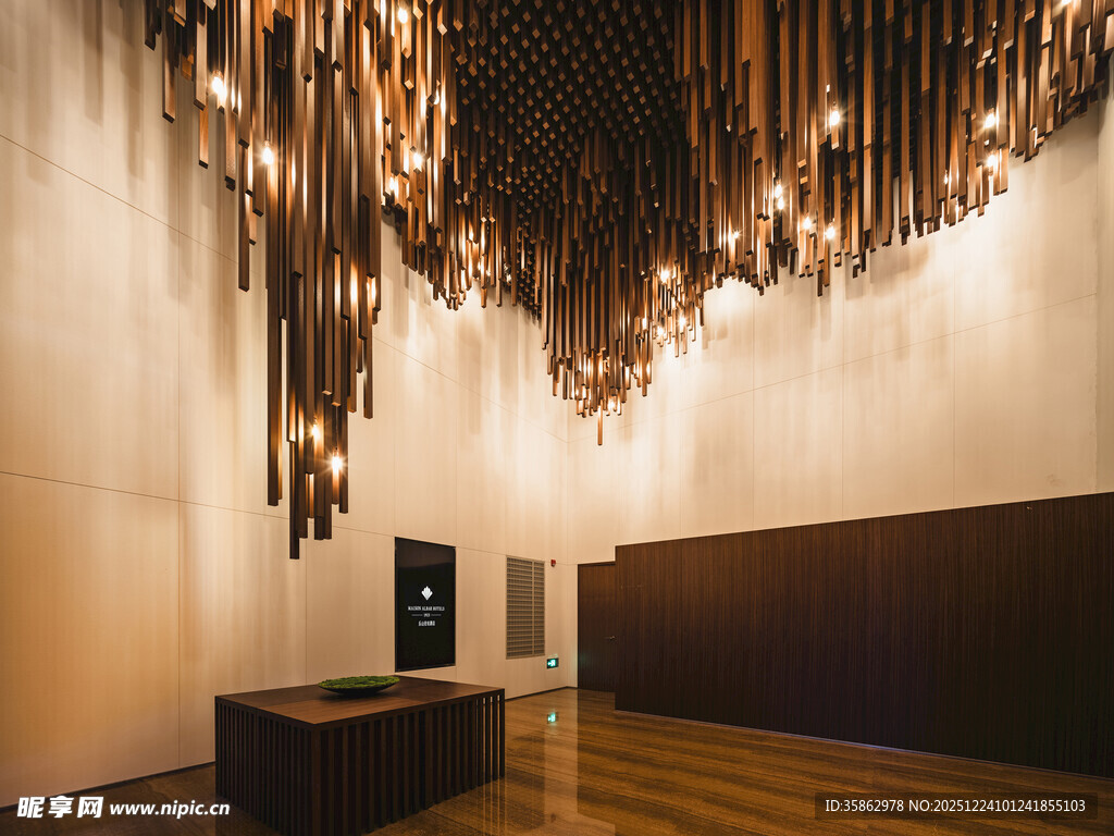 现代优雅金属线条垂吊装饰