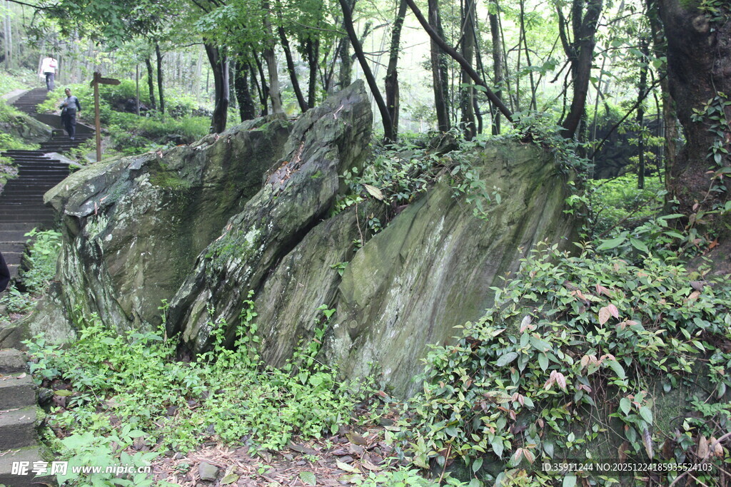 山林间嶙峋岩石与绿植