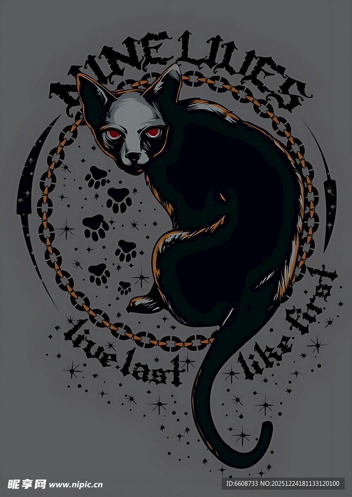 黑猫盘踞于神秘图案中