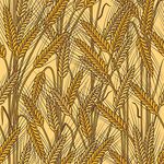金黄麦穗图案自然田园风