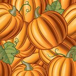 一堆南瓜插画图案