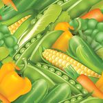 多彩新鲜蔬菜组合