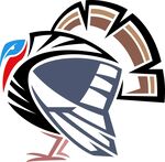 抽象风格火鸡图案设计