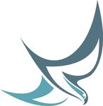 飞翔的抽象飞鸟标志