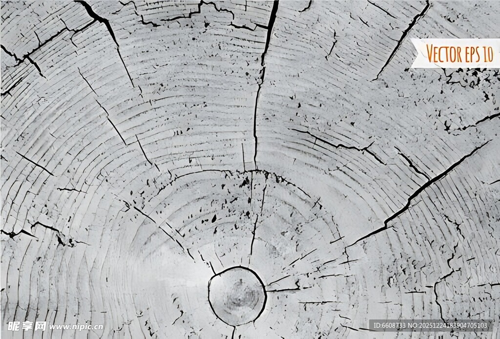 树桩横截面纹理特写