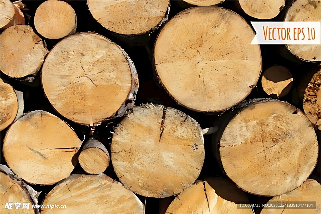 整齐堆放的圆木