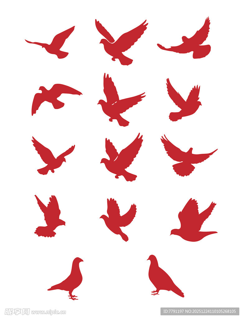 鸽子剪影