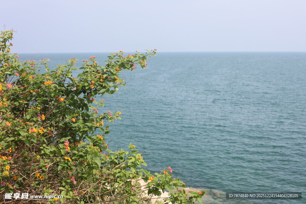 海边绿植与蔚蓝大海
