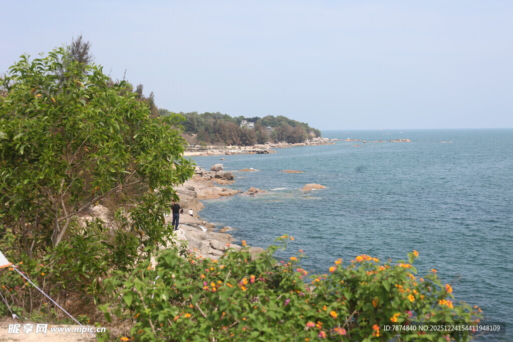 海岸边繁茂植被与辽阔海景