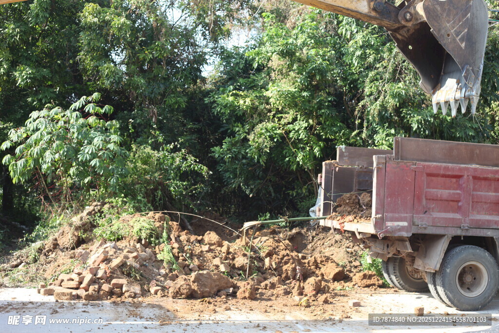 卡车旁大象搬运土石场景