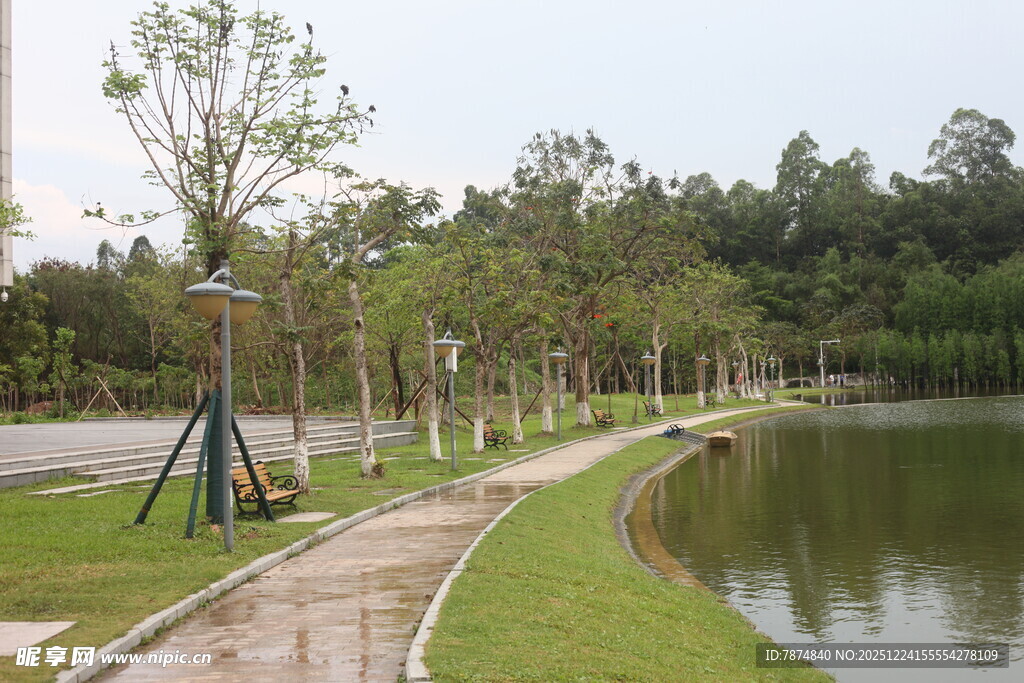湖边林荫步道风景