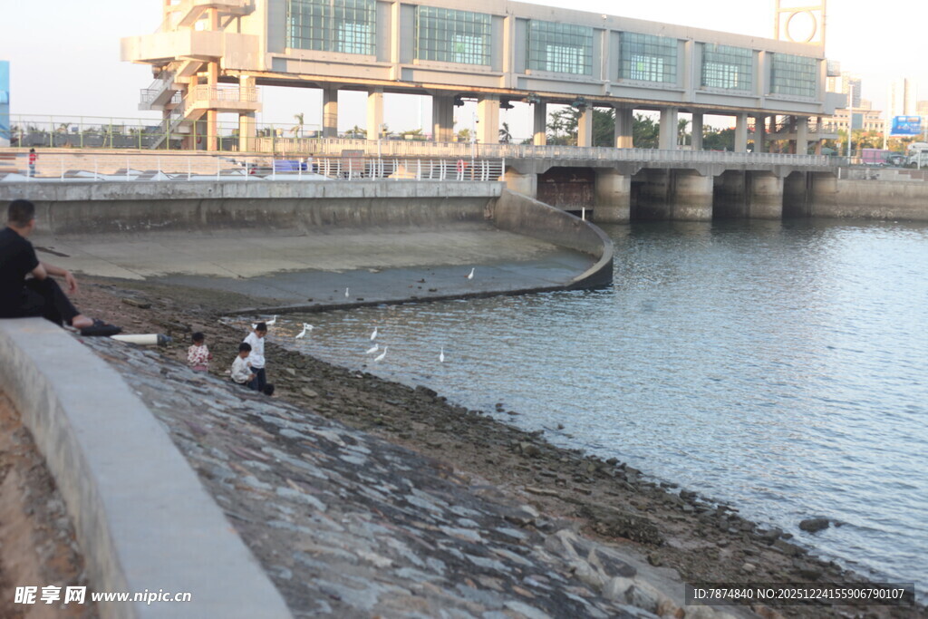 城市河畔桥梁景观