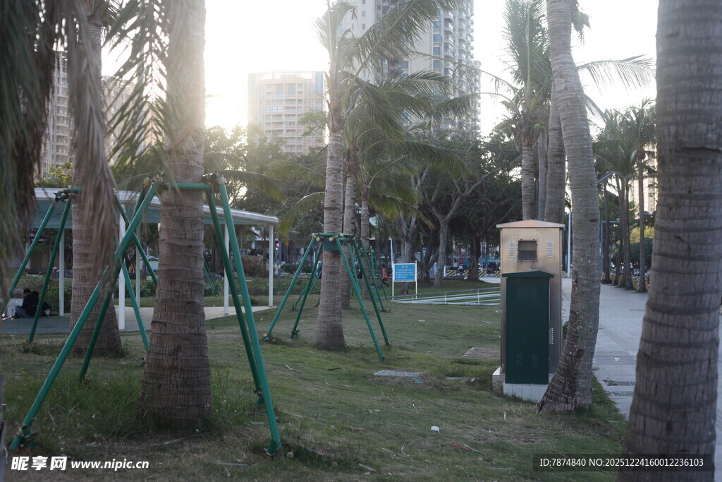 城市公园中的健身休闲场景