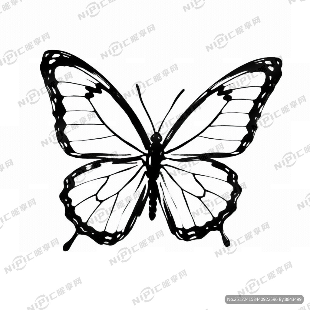 蝴蝶 飞舞  简笔画 单色