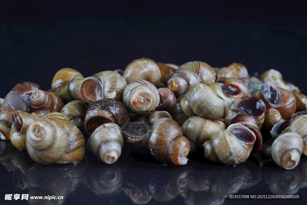 多彩螺蛳堆叠