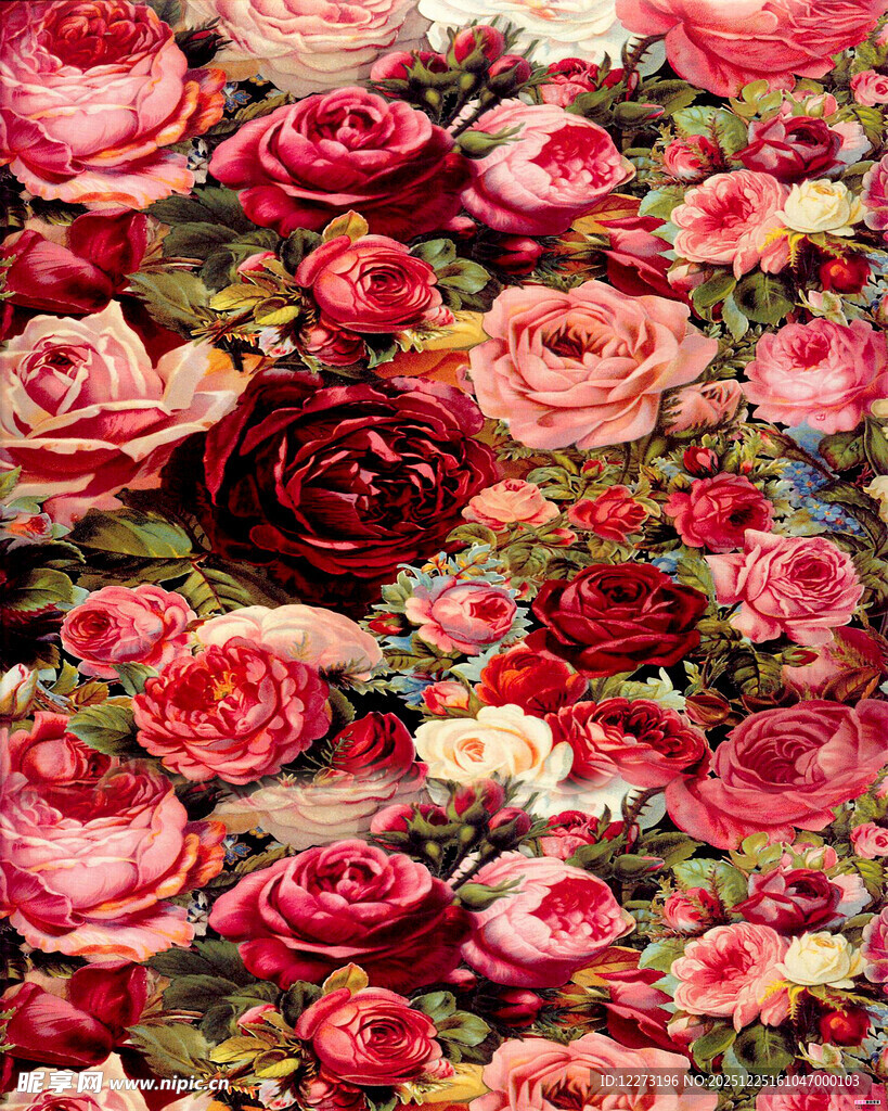 缤纷多彩的浪漫玫瑰花海