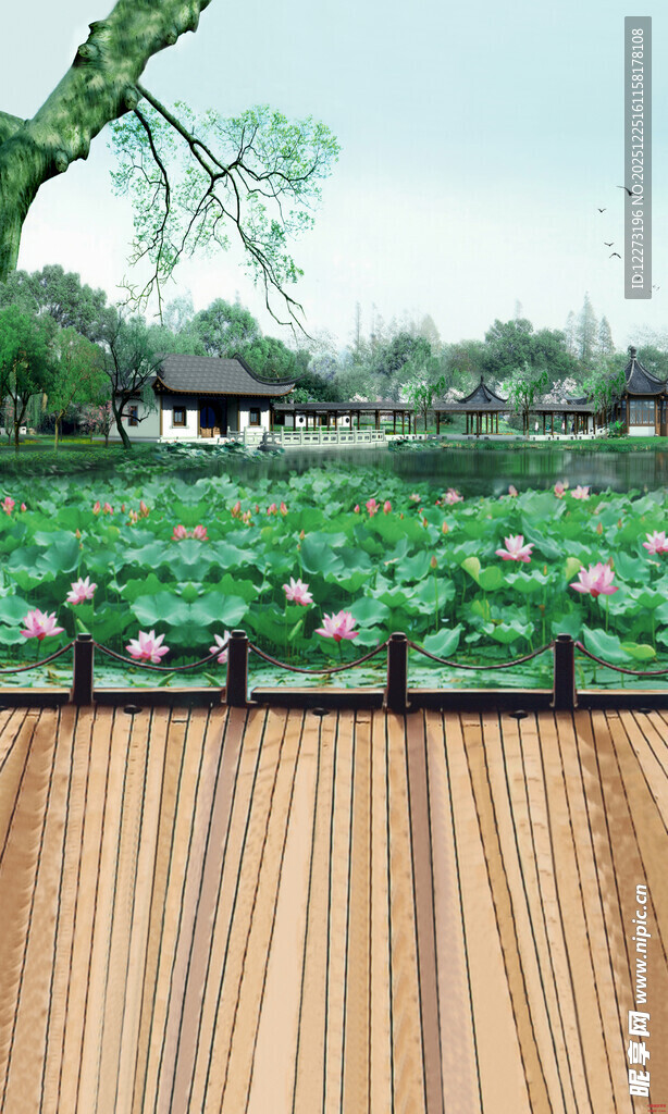 湖畔木栈道旁的荷花美景