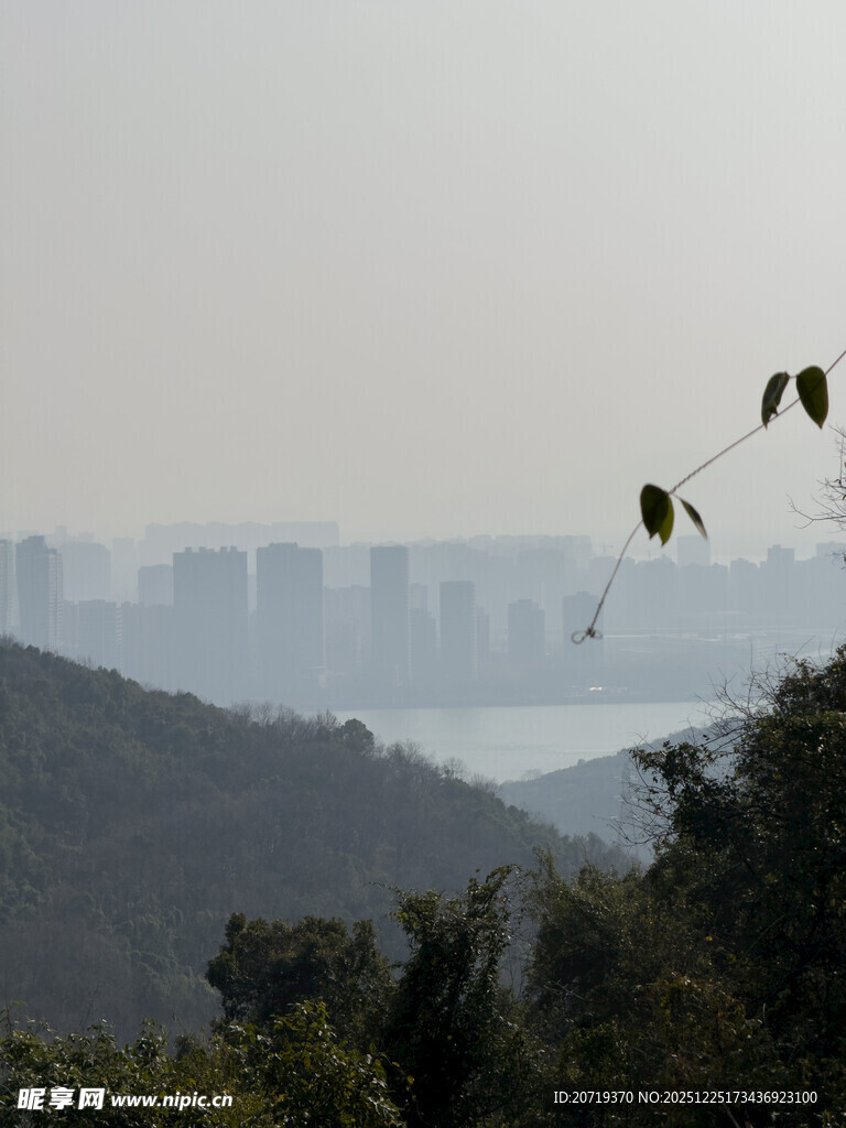 远山近树间的朦胧城市景