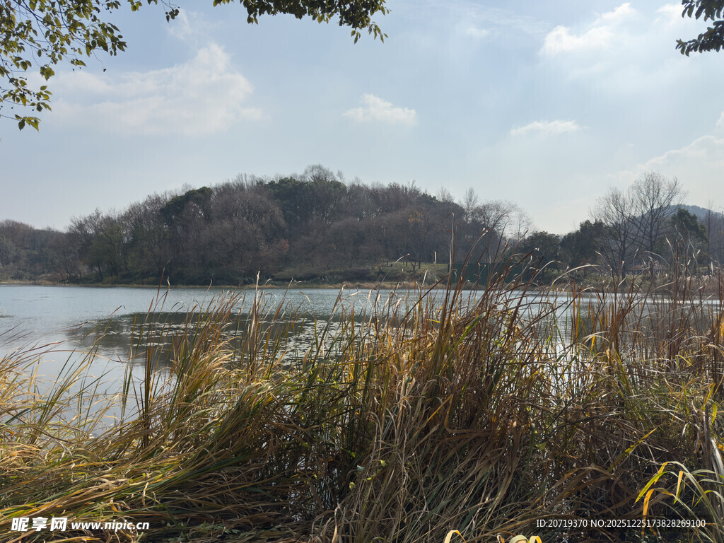 湖畔秋景