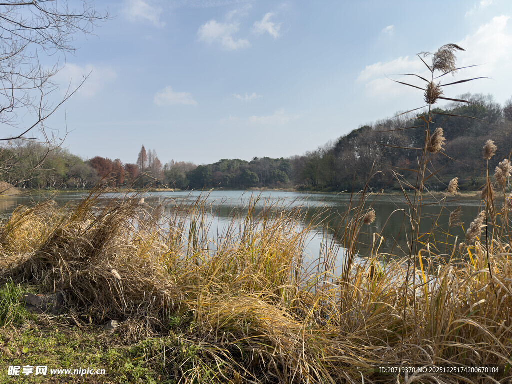 湖畔秋日风光景色如画