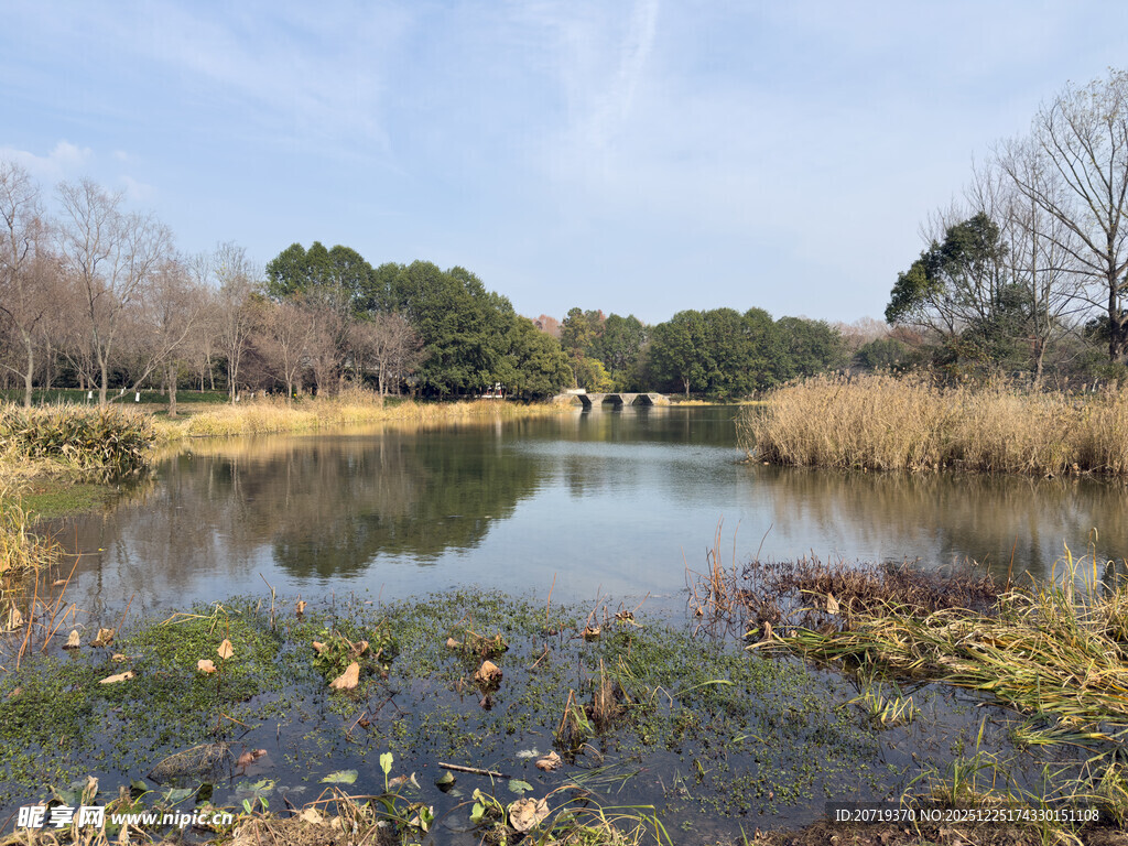 宁静湖畔秋冬自然景致