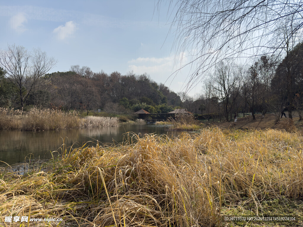 秋日郊野河畔风景
