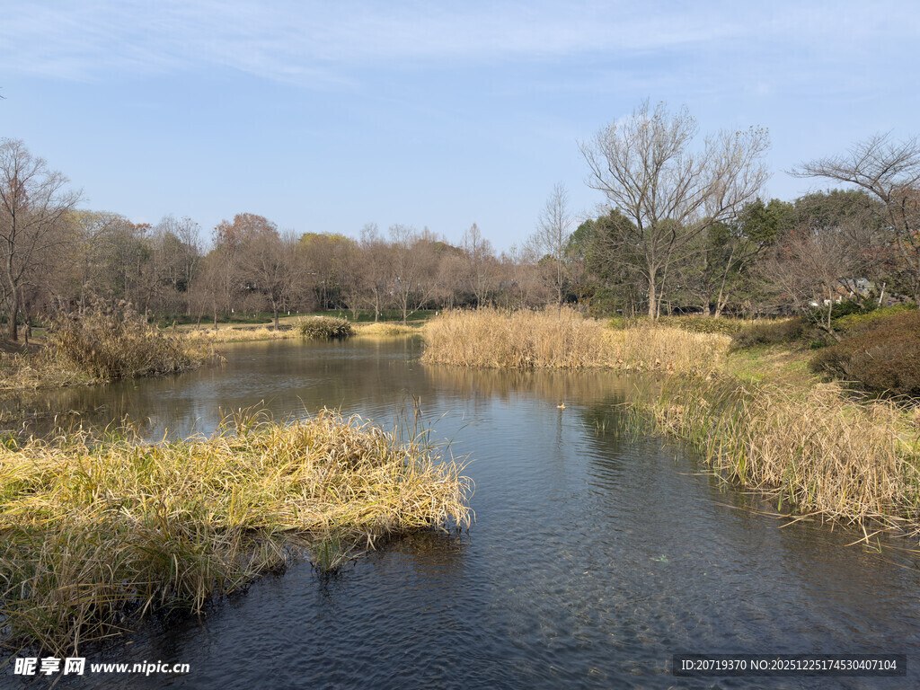 宁静河畔自然风光