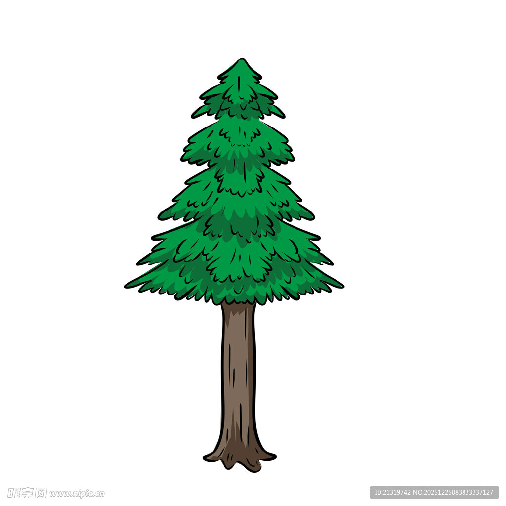 松树插画