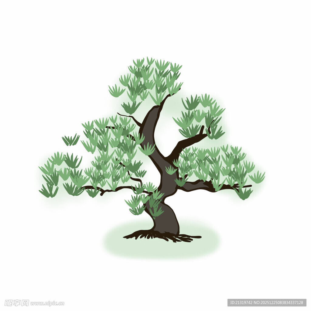松树插画