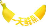 剥开的一天鲜果香蕉