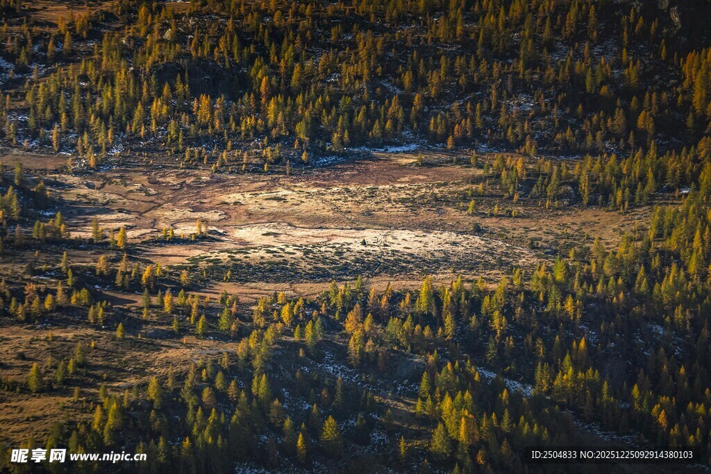 俯瞰山林中的开阔地带