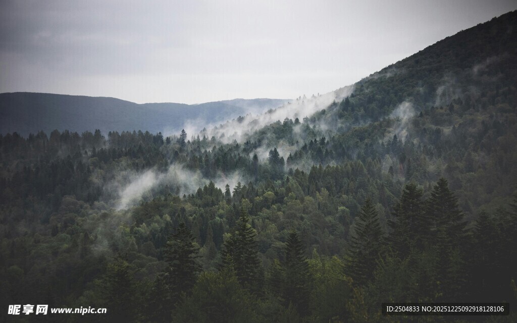 山间云雾缭绕的森林美景
