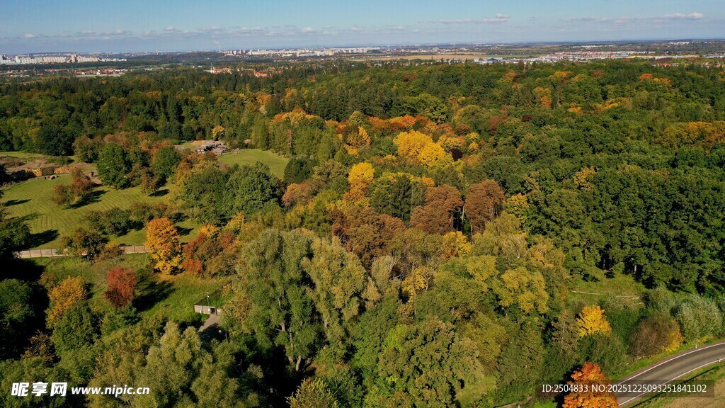 秋日森林俯瞰美景