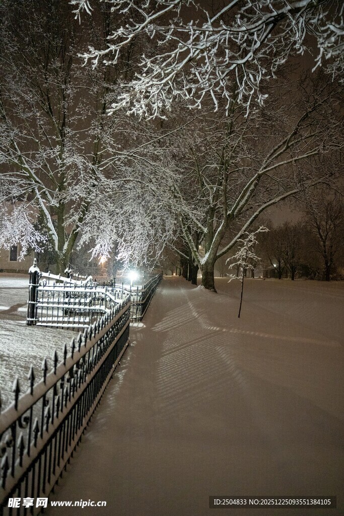 雪后公园静谧小道景象