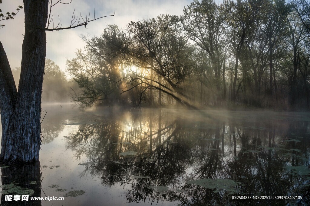 晨雾中的河畔静谧风光